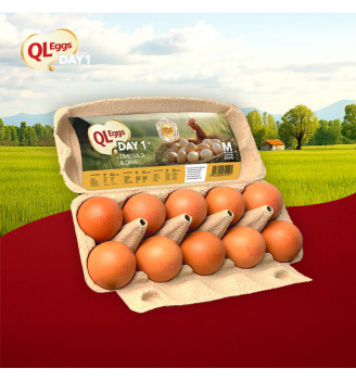 QL Omega & DHA Egg - Medium 20pcs/30pcs/40pcs