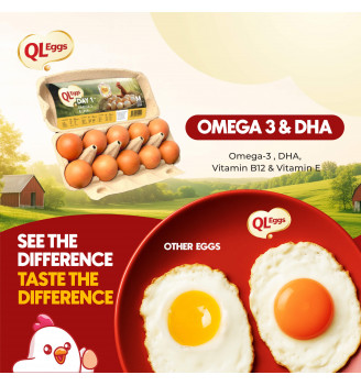 QL Eggs Day 1 Omega 3 & DHA Medium– Fresh Eggs (20, 30, 40 pcs)