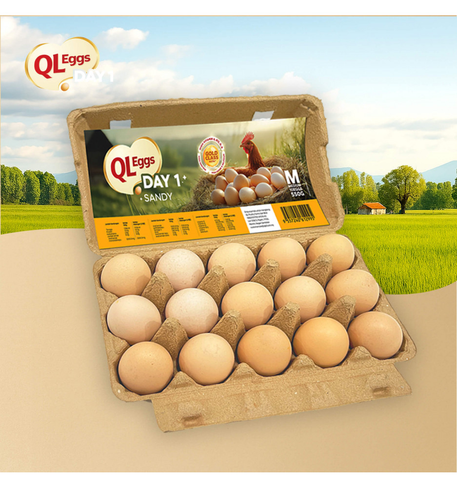 QL Eggs Day 1 Sandy - Medium 20pcs/30pcs/40pcs
