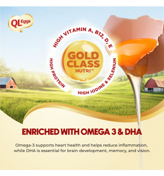 QL Omega & DHA Egg - Medium 20pcs FREE 1 QL Eggs Plushie