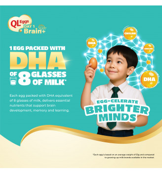 QL Eggs Brain+  -  Medium 20pcs Fresh Egg