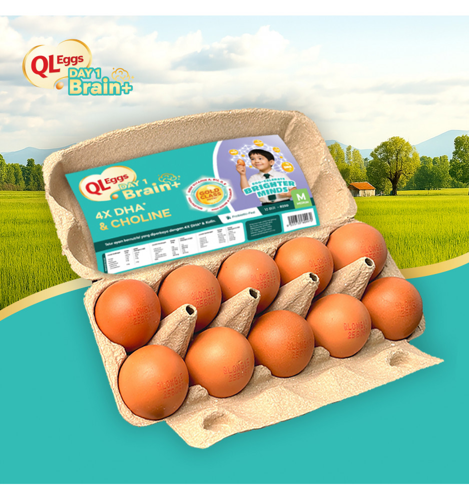 QL Eggs Brain+  -  Medium 20pcs Fresh Egg