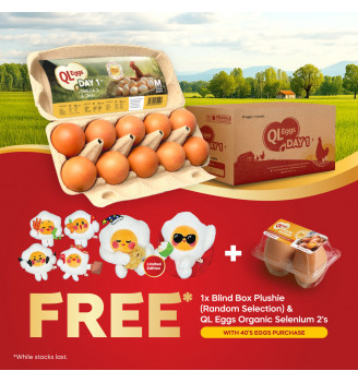 QL Eggs Omega 3 & DHA Medium 40pcs FREE 1pc QL Eggs Plushie + Free 2pcs Organic Selenium eggs