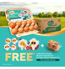 QL Eggs Brain+ Medium 40pcs FREE 1pc QL Eggs Plushie + Free 2pcs Organic Selenium eggs