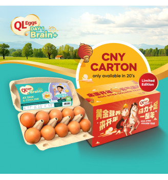 QL Eggs Brain+  -  Medium 20pcs Fresh Egg