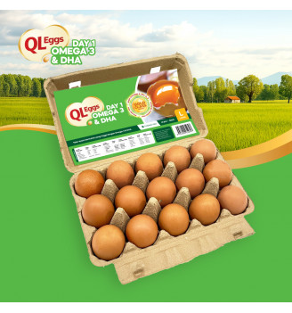 QL Eggs Day 1 Omega 3 & DHA Large – Fresh Eggs (20, 30, 40 pcs)