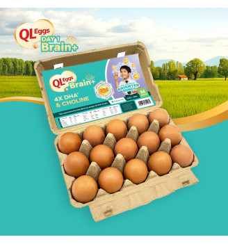 QL Eggs Brain+ – Fresh Farm Eggs (20/30/40 pcs)