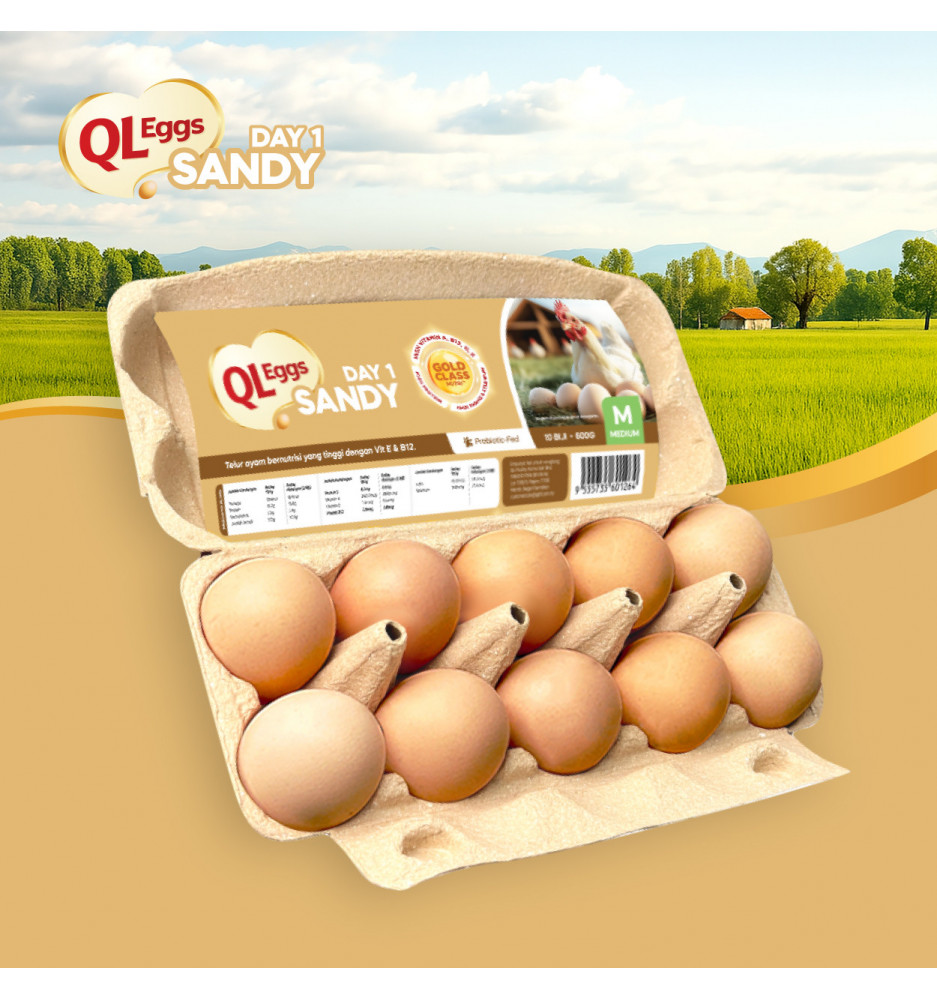 QL Eggs Day 1 Sandy – Fresh Vitamin B12 & E Eggs (20pcs, 30pcs, 40pcs)