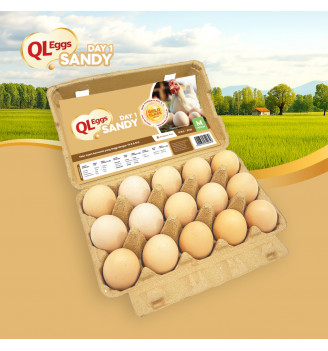 QL Eggs Day 1 Sandy – Fresh Vitamin B12 & E Eggs (20pcs, 30pcs, 40pcs)