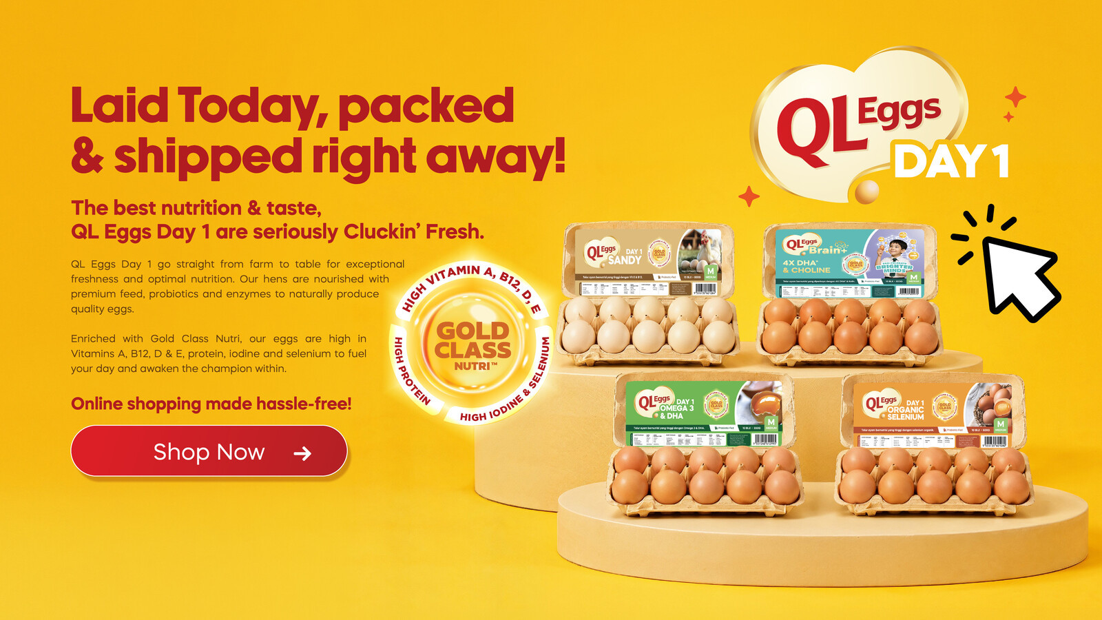 QL Day 1 Egg Laid today, packed and shipped right away
