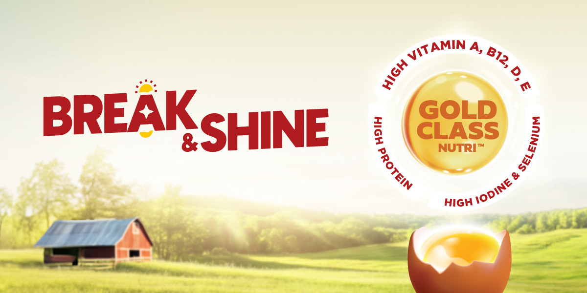 QL Day 1 Egg Laid today, packed and shipped right away