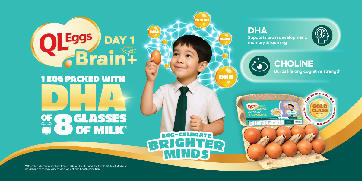 QL Eggs Brain+ - Medium