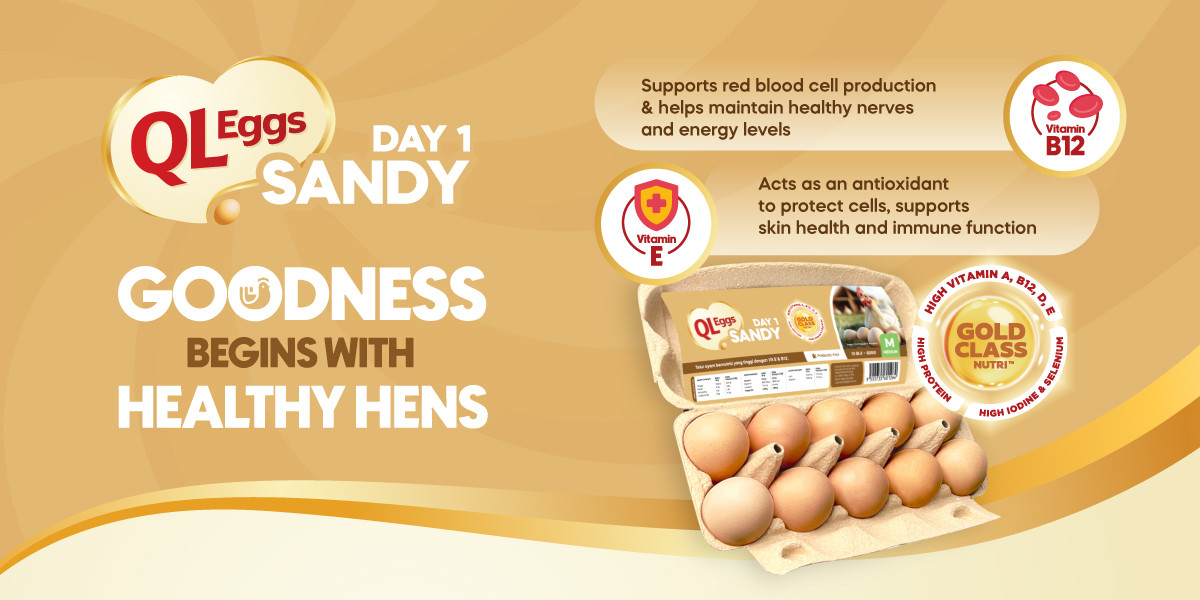 QL Eggs Day 1 Sandy - Medium