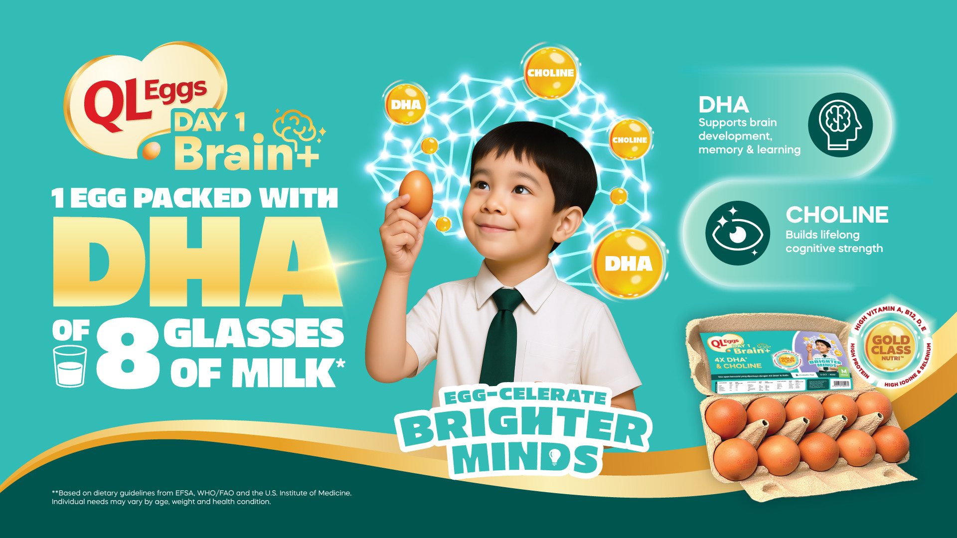 QL Eggs Brain+ - Medium