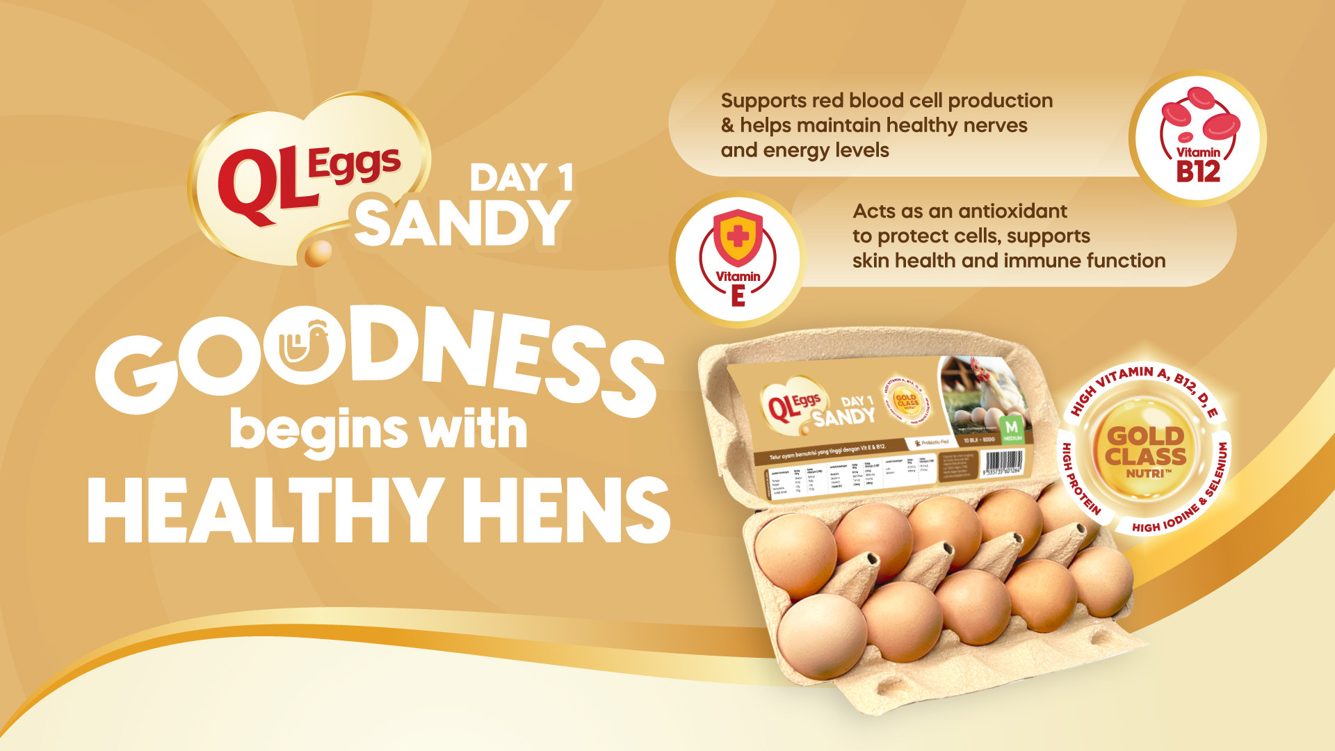 QL Eggs Day 1 Sandy - Medium