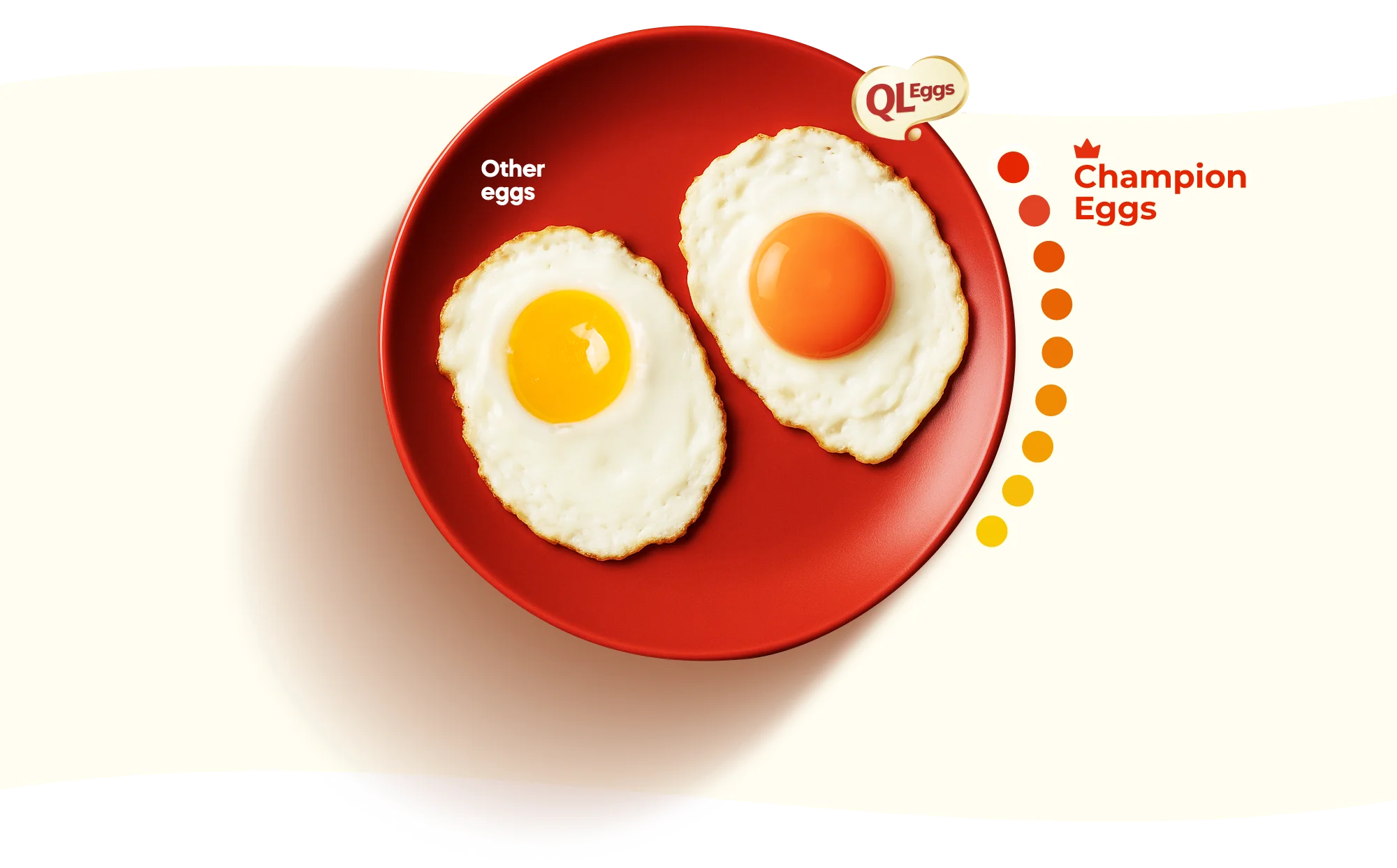 QL Champion Egg – Award-Winning Farm Fresh Eggs Malaysia