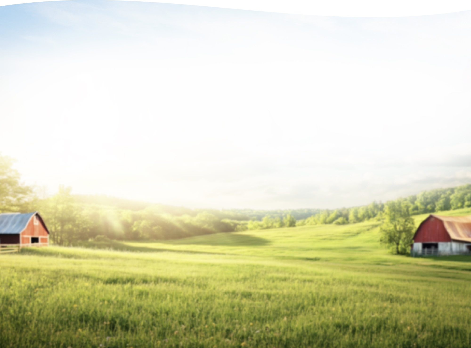 Grass Hill
