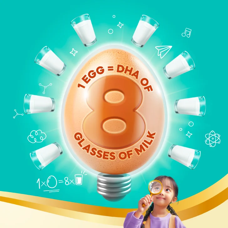 QL Brain+ Egg Pack — 15 Medium Eggs with DHA and Choline Malaysia